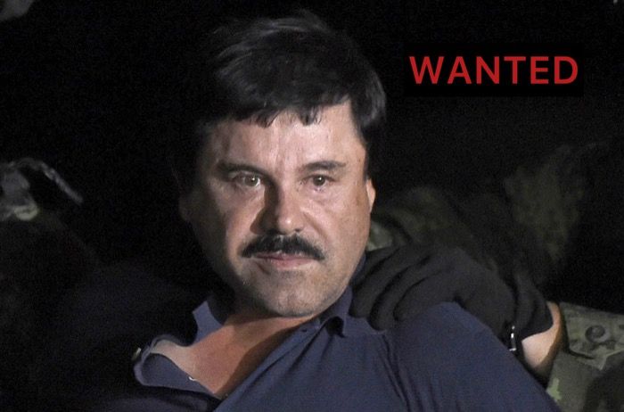 Prisoner on the loose: El Chapo escapes ADX Florence death row
